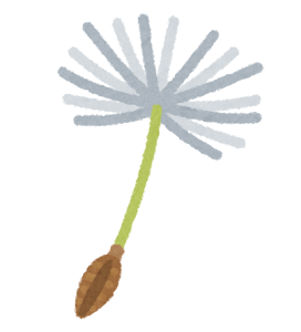 Birth, Seeds, and Life Again